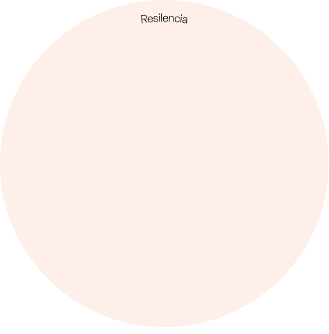 Gráfico representativo de la metodología 